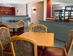 Pear Tree Inn Cape Girardeau | Missouri - Sikeston (ve civarı) - Cape Girardeau