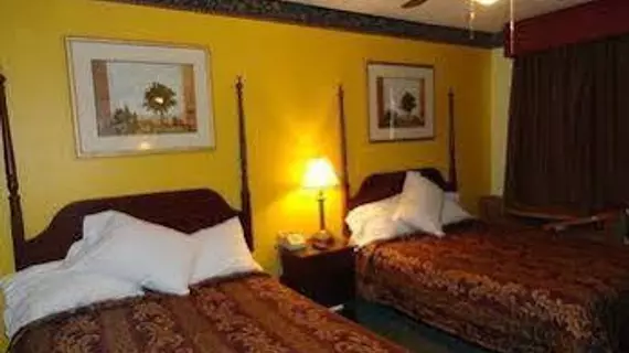 Ellijay Inn | Georgia - Blue Ridge (ve civarı) - Ellijay