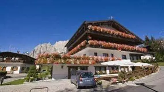 Barisetti Sport Hotel | Veneto - Belluno (vilayet) - Cortina d'Ampezzo