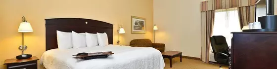 Hampton Inn - Greenville | Alabama - Greenville