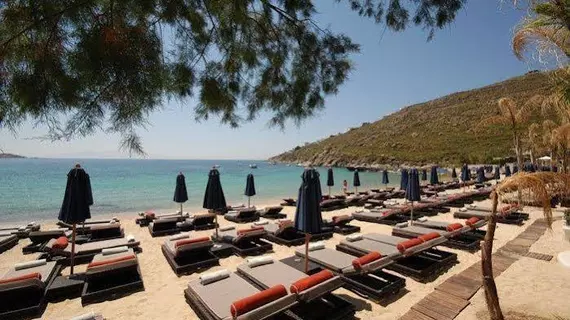 Psarou Beach Hotel | Ege Adaları - Mikonos