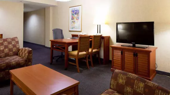 Embassy Suites San Antonio - International Airport | Teksas - San Antonio (ve civarı) - San Antonio - Kuzey San Antonio - SAT Havalimanı