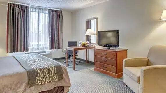 Comfort Inn Alexandria Landmark | Virginia - İskenderiye