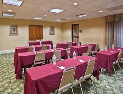 Holiday Inn Express Hotel & Suites Tampa-Anderson Road-Veterans Exp | Florida - Tampa (ve civarı) - Tampa