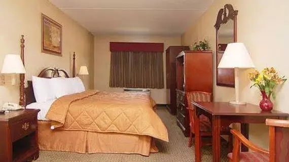 Comfort Inn & Suites Leeds | Alabama - Birmingham (ve civarı) - Leeds