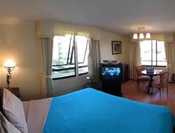 Costanera Center Apartment | Santiago - Santiago (ve civarı) - Providencia