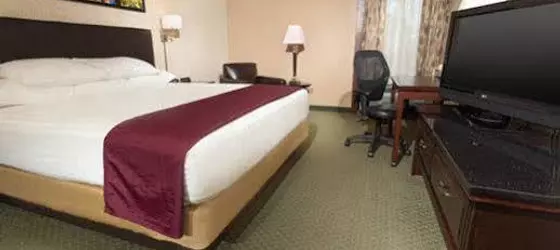 Drury Inn & Suites The Woodlands | Teksas - Conroe (ve civarı) - The Woodlands