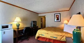 Days Inn and Suites Madison Heights | Michigan - Detroit (ve civarı) - Madison Heights