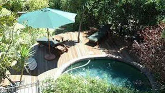 Poplar Tree Lodge | Western Cape (il) - West Coast DC - Drakenstein - Cape Town (ve civarı) - Cape Town - Hout Bay