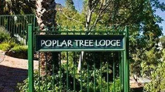 Poplar Tree Lodge | Western Cape (il) - West Coast DC - Drakenstein - Cape Town (ve civarı) - Cape Town - Hout Bay