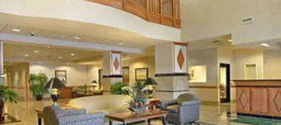 Wingate by Wyndham Virginia Beach | Virginia - Norfolk - Virginia Beach (ve civarı) - Virginia Beach