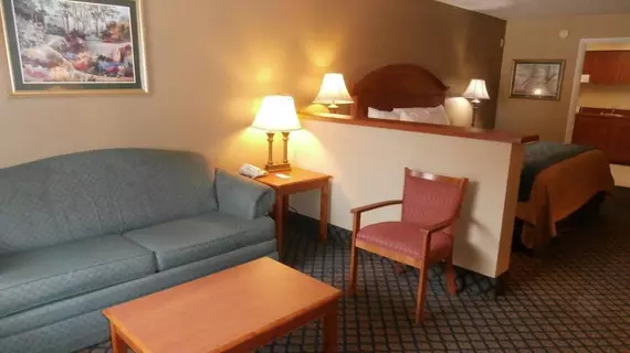 Comfort Inn Sun City Center | Florida - Tampa (ve civarı) - Sun City Center