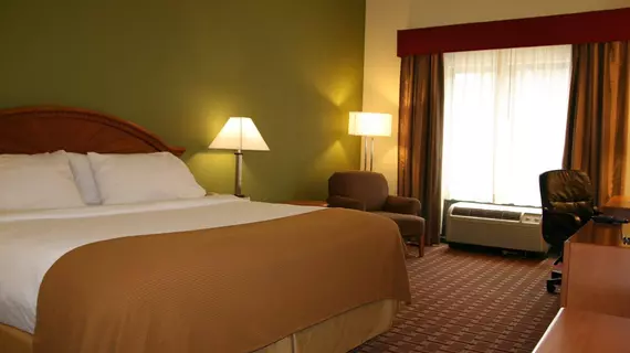 Holiday Inn Express Hotel & Suites Tampa-Anderson Road-Veterans Exp | Florida - Tampa (ve civarı) - Tampa