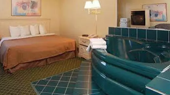 Quality Inn and Suites | Michigan - Detroit (ve civarı) - Romulus