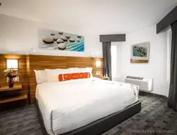 Hotel Elan | Alberta - Calgary (ve civarı) - Calgary - Beltline