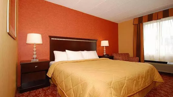 Comfort Inn Vineland – Millville | New Jersey - Vineland (ve civarı) - Vineland