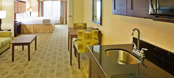 Holiday Inn Express Hotel and Suites Dallas East | Teksas - Dallas (ve civarı) - Dallas