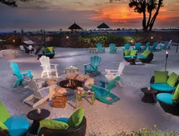 RumFish Beach Resort by TradeWinds | Florida - St. Petersburg - Clearwater (ve civarı) - St. Pete Beach