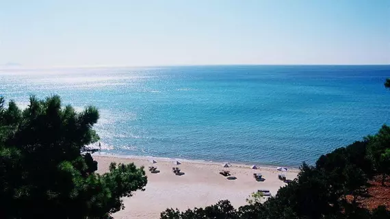 Golden Sand | Kuzey Ege Adaları - Samos