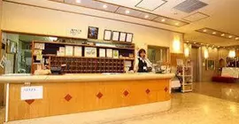 Shiobara Onsen Hotel | Toçigi (idari bölge) - Nasushiobara