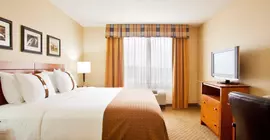 Holiday Inn Battle Creek | Michigan - Kalamazoo (ve civarı) - Battle Creek