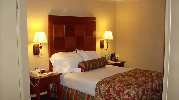 Embassy Suites San Antonio - International Airport | Teksas - San Antonio (ve civarı) - San Antonio - Kuzey San Antonio - SAT Havalimanı