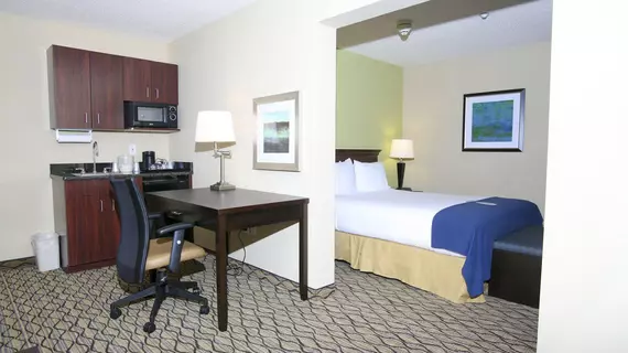 Holiday Inn Express Hotel & Suites Roseville | Michigan - Detroit (ve civarı) - Roseville