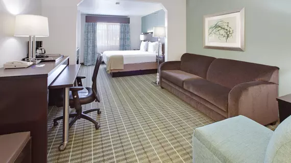 Holiday Inn Express Monticello | Arkansas - Monticello (ve civarı) - Monticello