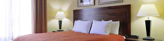 Country Inn & Suites Savannah Airport | Georgia - Savannah (ve civarı) - Savana