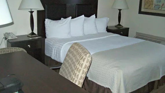 Holiday Inn Rock Springs | Wyoming - Rock Springs (ve civarı) - Rock Springs