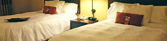 Hampton Inn and Suites San Antonio Airport | Teksas - San Antonio (ve civarı) - San Antonio - Kuzey San Antonio - SAT Havalimanı