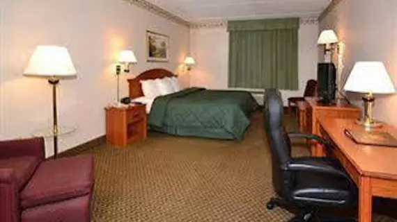 Comfort Inn & Suites Lavale | Maryland - Cumberland (ve civarı) - LaVale