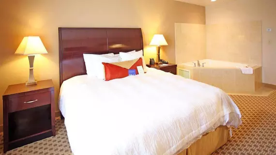 Hilton Garden Inn Cincinnati Blue Ash | Ohio - Cincinnati (ve civarı) - Cincinnati - Blue Ash