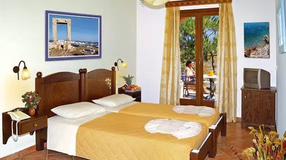 Alkyoni Beach Hotel | Ege Adaları - Naxos