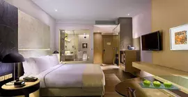 Holiday Inn New Delhi International Airport | Batı Delhi - Ulusal Eyalet Başkenti Delhi - Delhi (ve civarı) - Yeni Delhi - Güney Batı