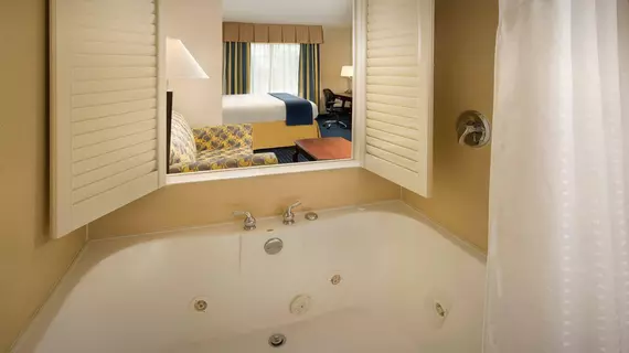 Holiday Inn Express Hotel & Suites Annapolis | Maryland - Annapolis (ve civarı) - Annapolis - Parole