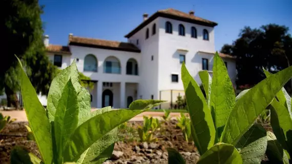 Hotel Darabenaz | Andalucia - Granada (il) - Granada