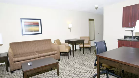 Holiday Inn Express Hotel & Suites Roseville | Michigan - Detroit (ve civarı) - Roseville