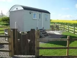 The Shepherds Hut | Northumberland (kontluk) - Berwick-upon-Tweed