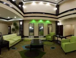 Holiday Inn Houston-Webster | Teksas - Houston (ve civarı) - Webster