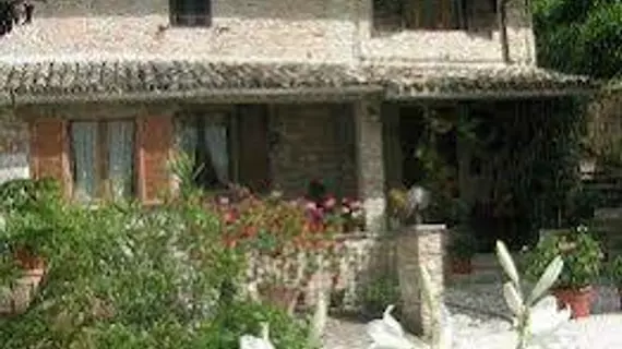 B&B La Terrazza Del Subasio | Umbria - Perugia (vilayet) - Assisi