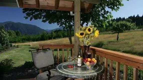 Carson Ridge Luxury Cabins | Washington - Carson