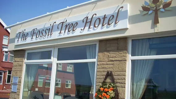 The Fossil Tree Hotel | Lancashire (kontluk) - Blackpool - Kuzey Sahili