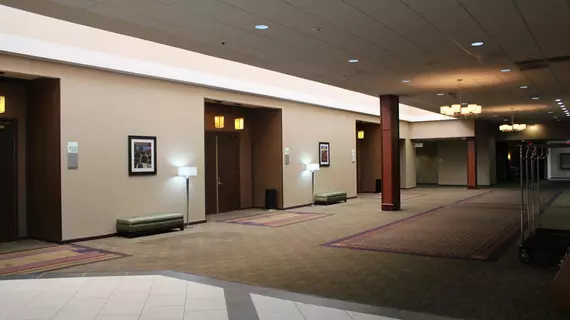 Holiday Inn Chicago Matteson Conference Center | İllinois - Matteson