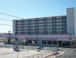 Beach Terrace Motor Inn | New Jersey - Middle Township - Cape May - Wildwood (ve civarı) - Wildwood