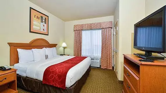 Comfort Suites North IH 35 | Teksas - San Antonio (ve civarı) - San Antonio - Kuzey San Antonio - SAT Havalimanı