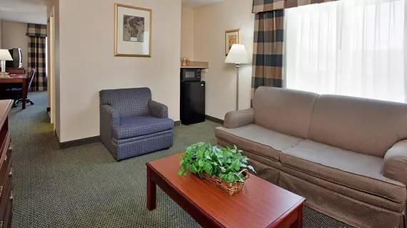 Holiday Inn South County Center - St. Louis | Missouri - St. Louis (ve civarı) - St. Louis - Mehlville