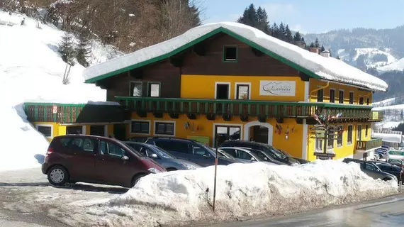 Gasthof Lederer Bike & Snow | Salzburg (eyalet) - Sankt Johann im Pongau - Muehlbach Am Hochkoenig