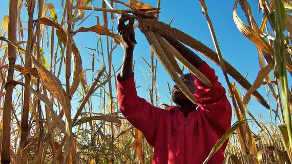 Ongula Village Homestead Lodge | Ohangwena - Ondangwa