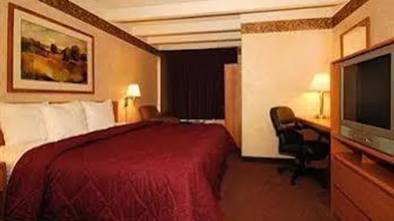 Comfort Inn & Suites Madison - Airport | Wisconsin - Madison (ve civarı) - Madison